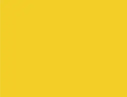Distincition Colza Yellow