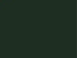 Distinction Standard Green