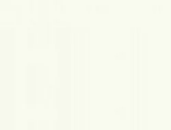 Hipca Gloss White