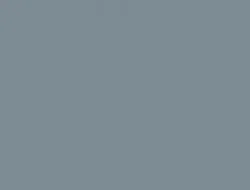 Squirrel Grey